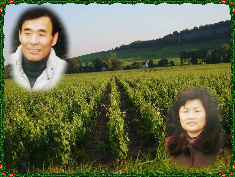 잉꼬장식 이미지