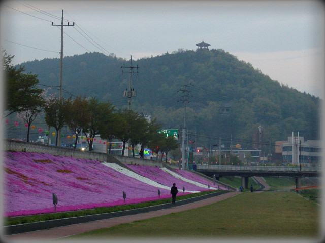 아름다운연출 이미지