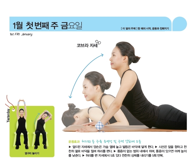 어프레시 이미지