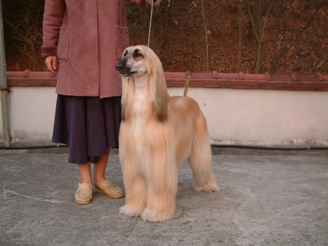 마벨 이미지
