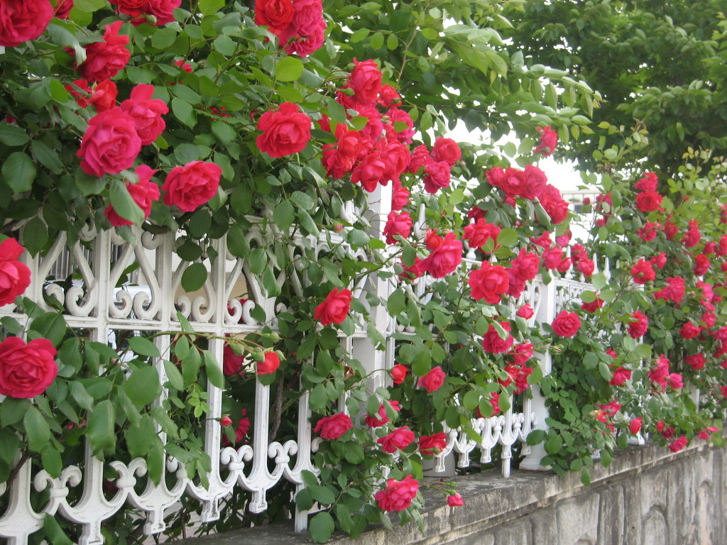 1376D2174A1205001168FD