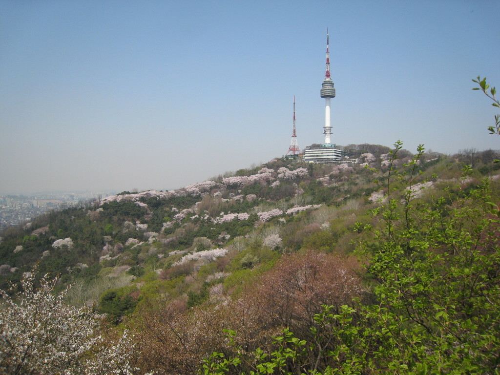남산 이미지