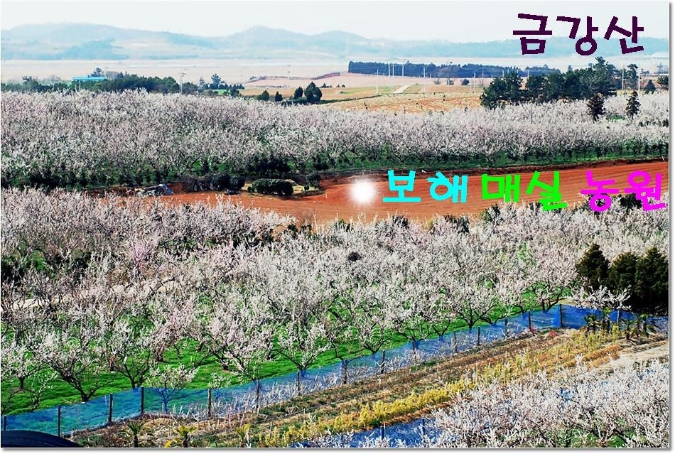 금강산농원 이미지