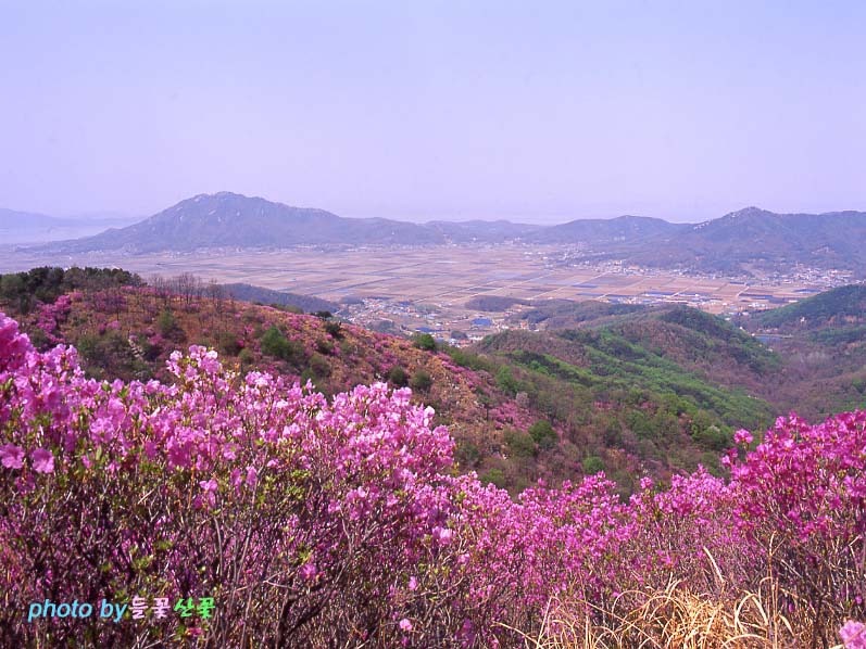 고려산 이미지