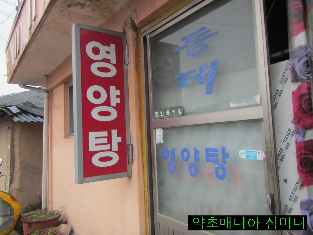 등대식당 이미지