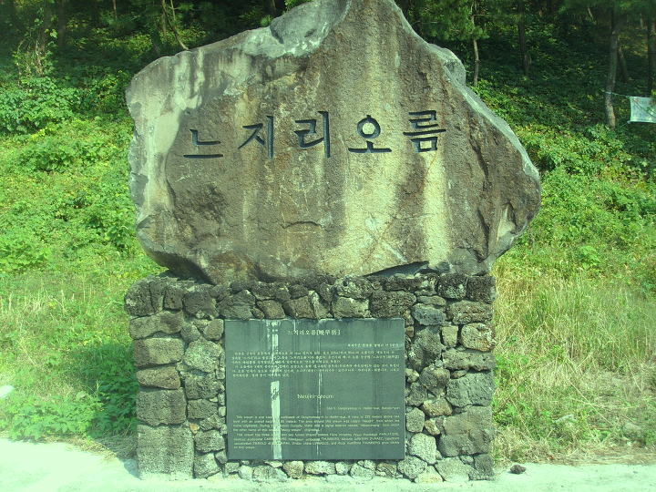휘석지질 이미지
