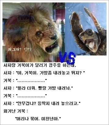 낭 이미지