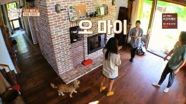 효리상순부부 압박면접에 멘탈나간 아이유 ㅋㅋㅋㅋㅋㅋㅋㅋㅋ.jpg | 인스티즈