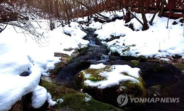 연리지미디어 이미지