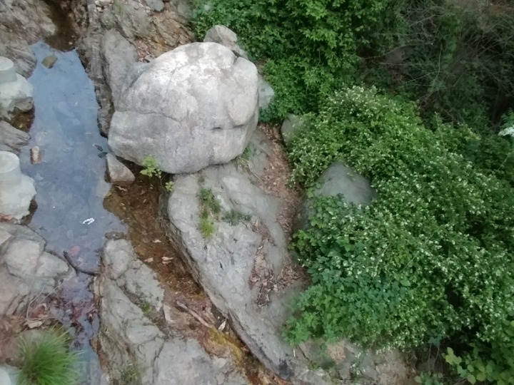 아차돌 이미지