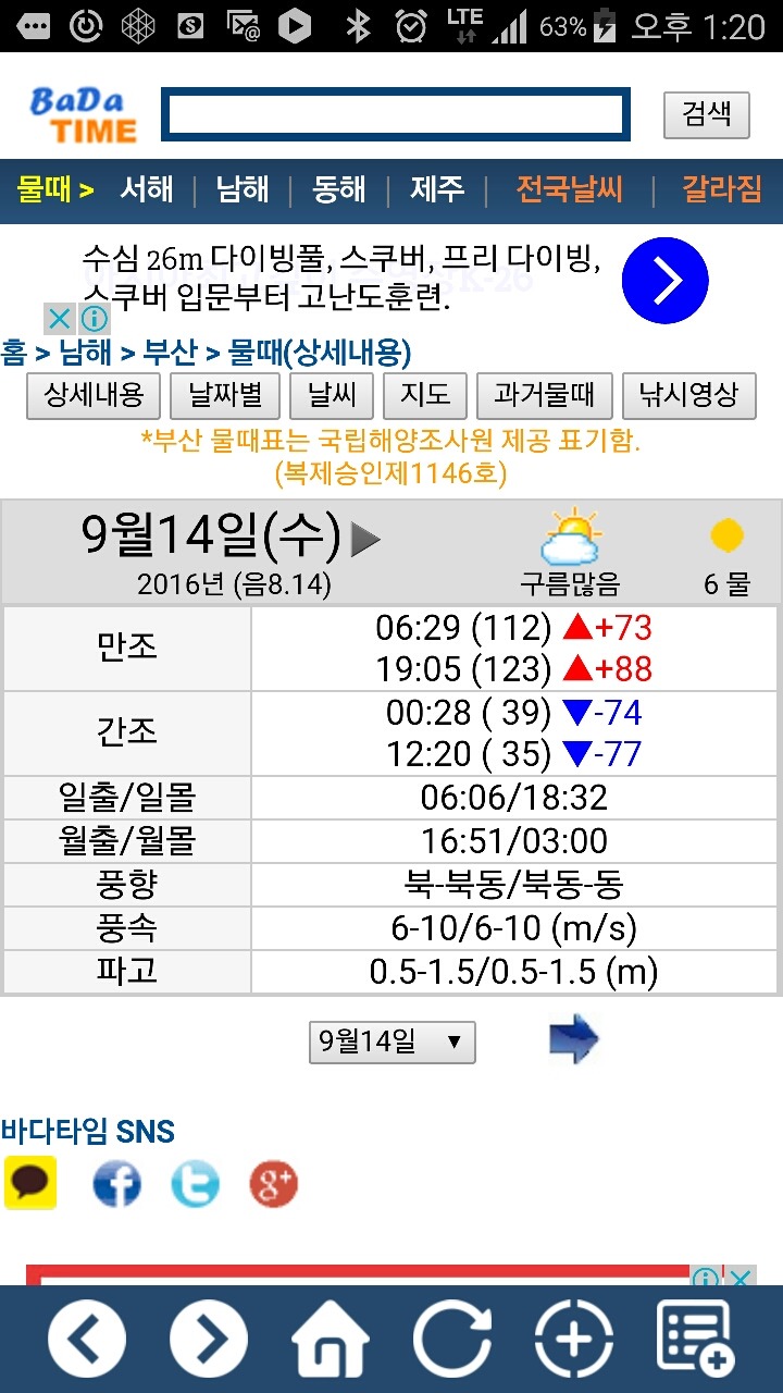 부산오징어 이미지