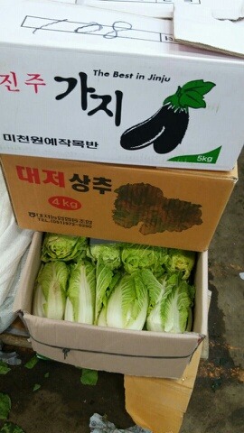 대성상회 이미지