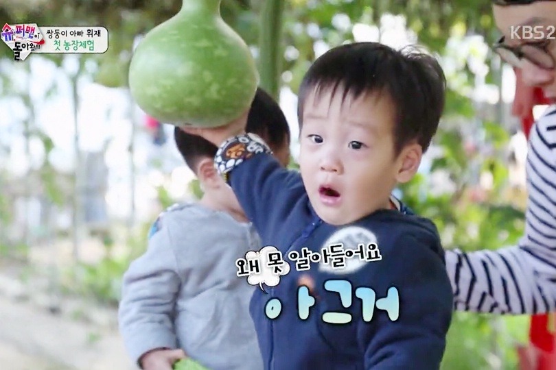 [슈퍼맨이돌아왔다] 자연친화적인 이 시대의 감성 유아 서언이~ㅋ | 인스티즈