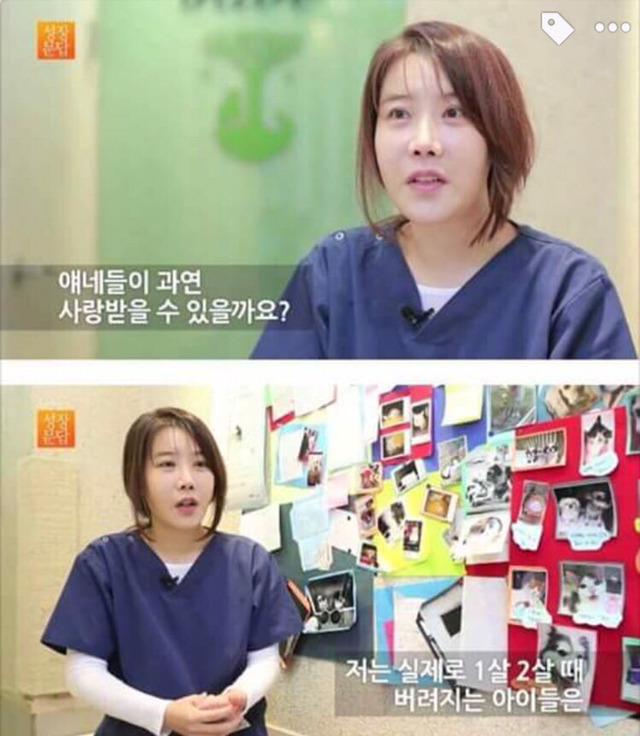 강아지나 고양이를 키우려는 사람들에게 | 인스티즈