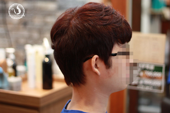 브라운스튜디오 이미지