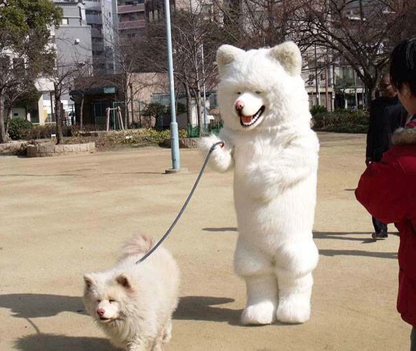 인 이미지