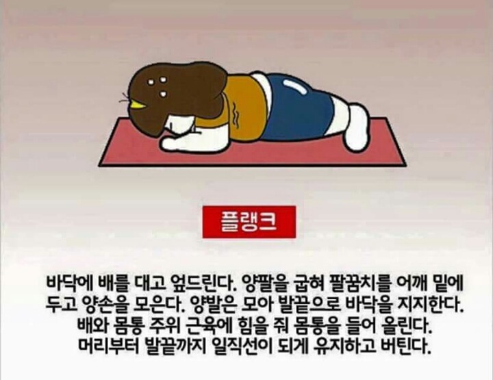 4분운동으로 1시간효과를 보는 뱃살 빼는 4분 타바타 운동법 | 인스티즈