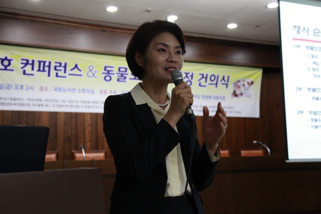 디딤돌스토리 이미지