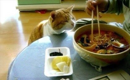 한입만 이미지