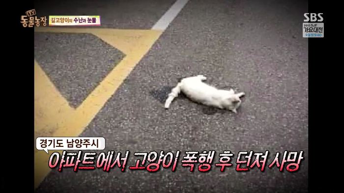 눈앞에서 제 아이가 맞아죽었습니다. 도와주세요 | 인스티즈