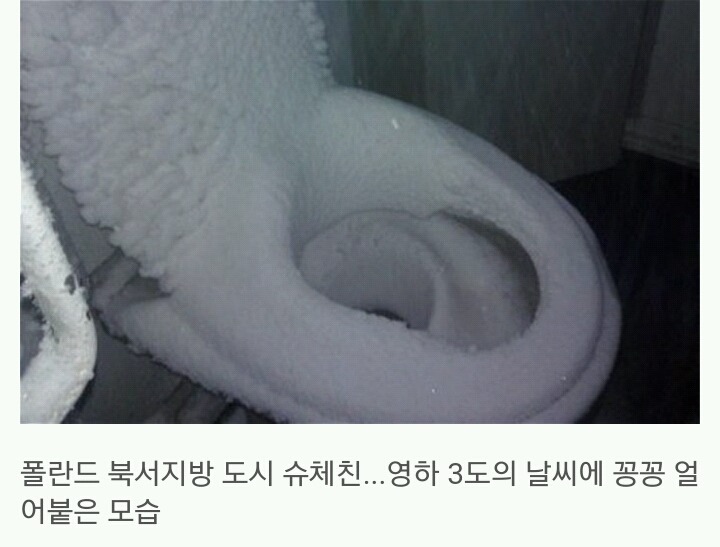 폴란드의 흔한 기차 화장실 | 인스티즈