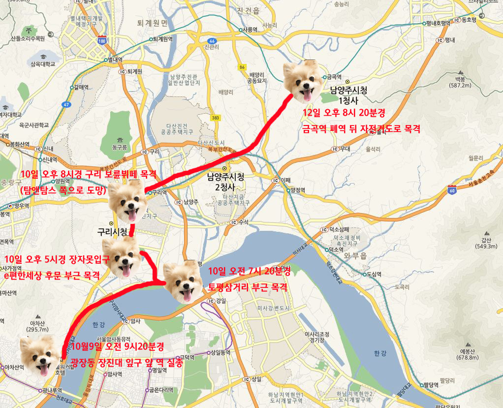 구리시/남양주시 사랑하는 동생을 잃어버렸습니다 한번만 눌러주세요 제발요.. | 인스티즈