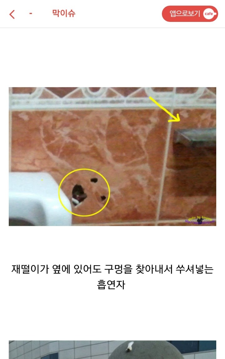 흡연자들이 시룸인 이유....jpg | 인스티즈