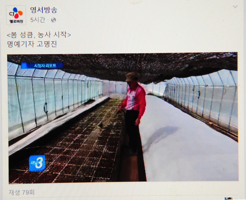 헬로비젼 이미지
