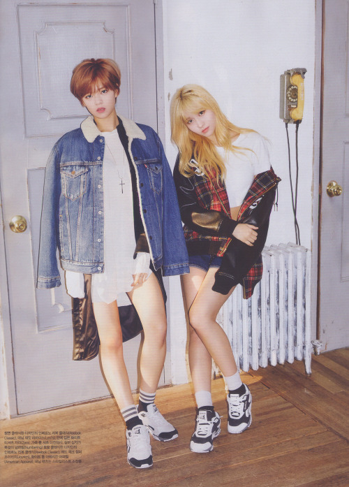 모모 이미지