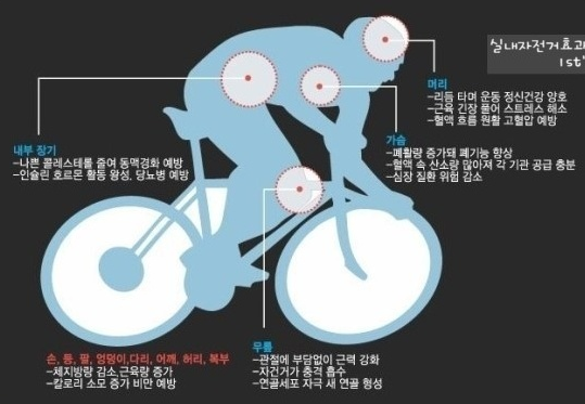 라이딩시즌시작봄 자전거알고타기 (운동효과+칼로리소모) | 인스티즈