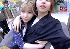 바보 모모와 아기 맹수 채영이 심쿵 움짤... (feat. AOA - 심쿵해) | 인스티즈