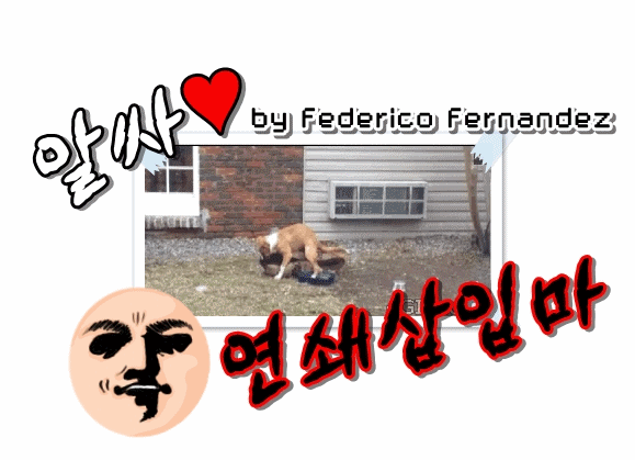 이상해꽃.gif | 인스티즈