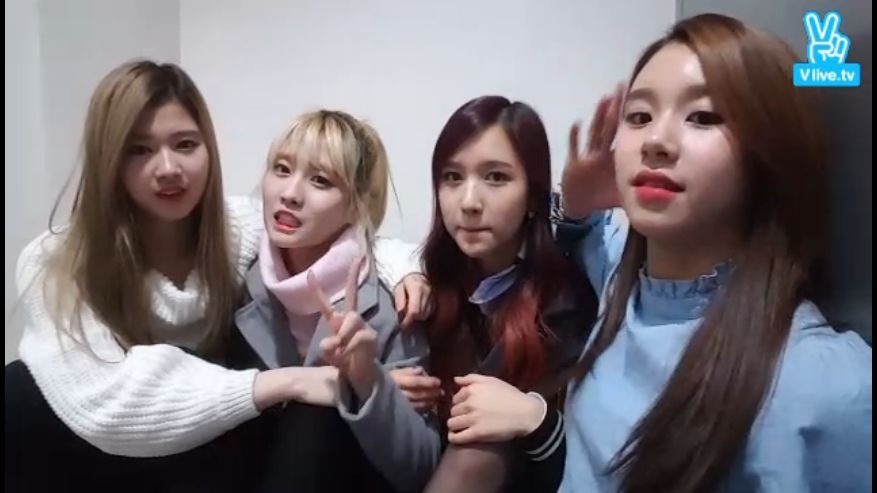 [트와이스] 미사모챙 V앱 기습라이브 캡쳐 | 인스티즈