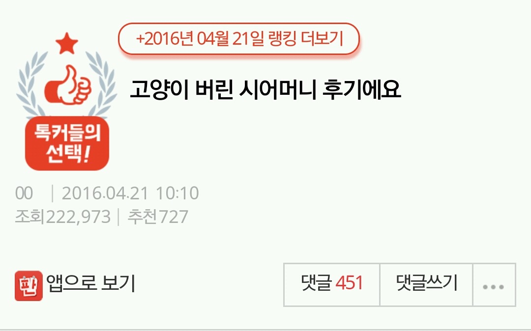 고양이 버린 시어머니 후기에요 | 인스티즈