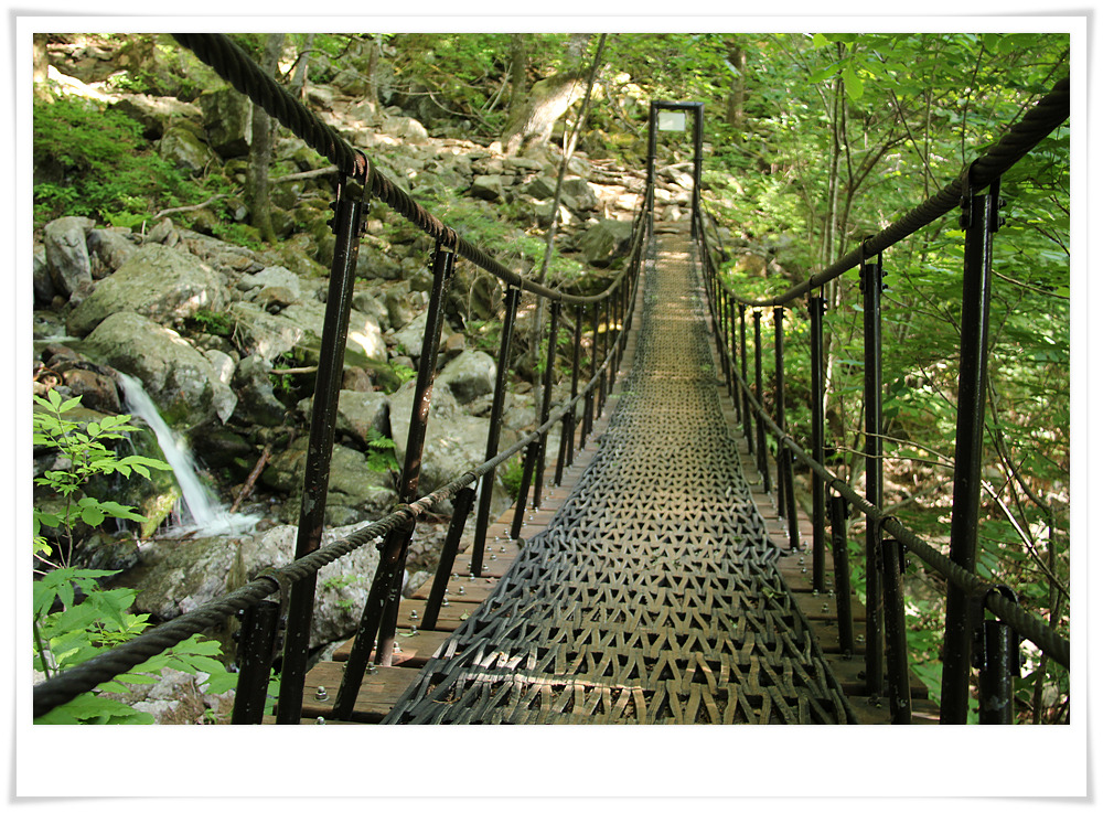 지리산내음 이미지