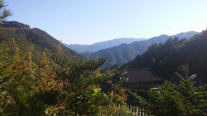 성원사 이미지