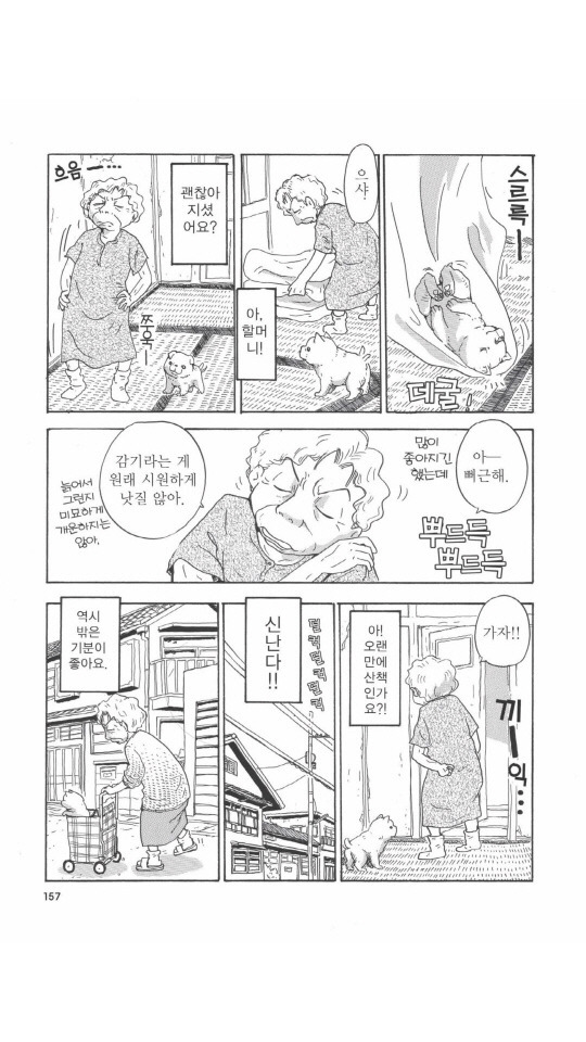 개를 주워오면 안되는 이유 | 인스티즈