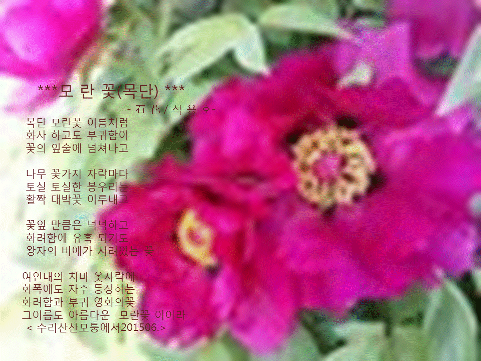꽃잎담아 이미지