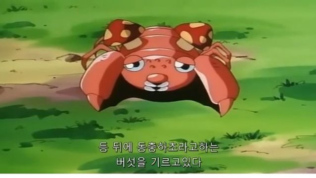 많이 섬뜩한 동충하초의 비밀(feat.포켓몬스터 동심파괴) | 인스티즈
