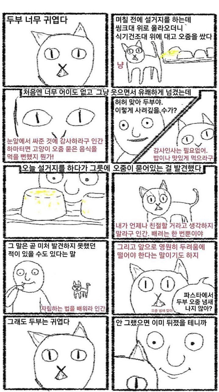 두부는 귀엽다 | 인스티즈