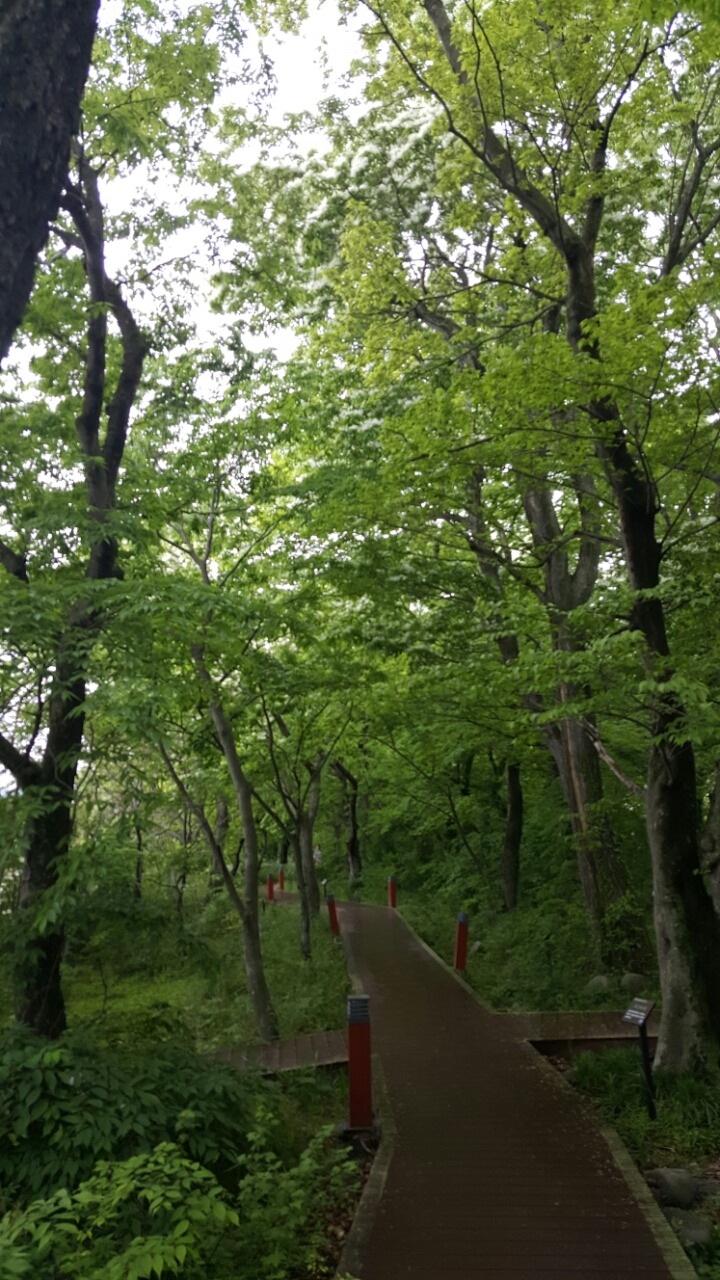 천사화원 이미지