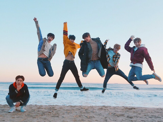 달콩 이미지
