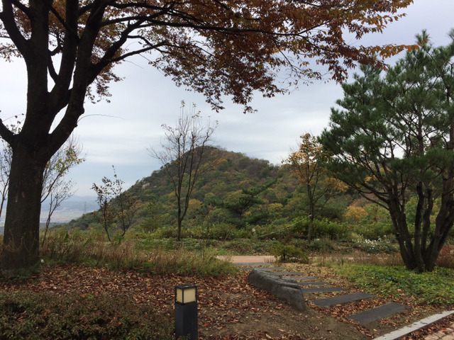 영인산자연휴양림 이미지