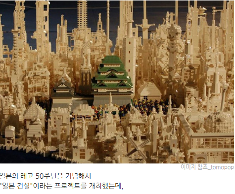 외국의 흔한 레고덕후들.jpg | 인스티즈