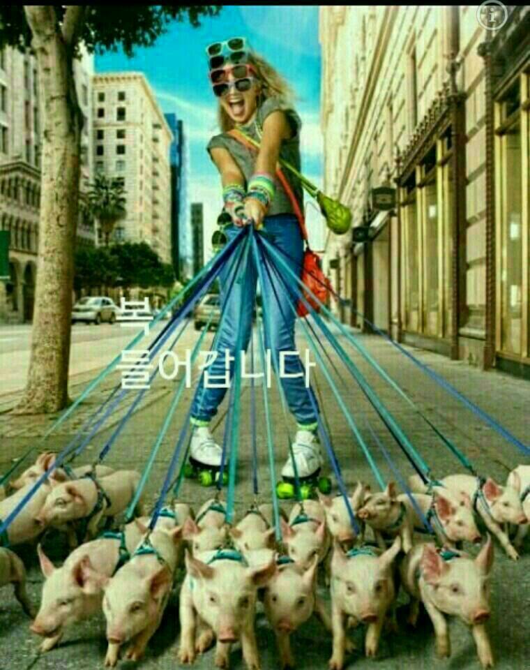 행운을드립니다 이미지