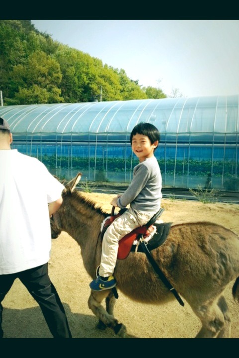 냉산친환경체험농장 이미지