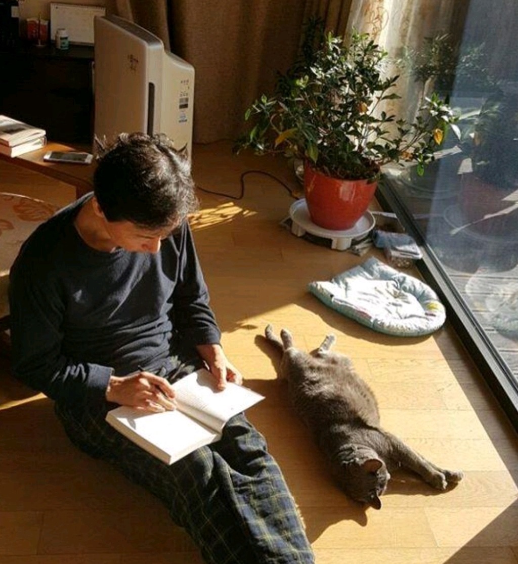 냥집사들 🐱 (사진 엄청많음 주의) | 인스티즈