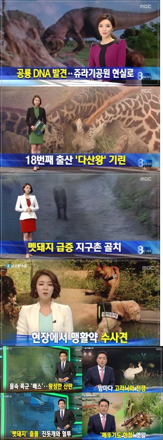 이탈리아 뉴스 우리나라 뉴스 | 인스티즈