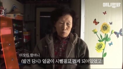 목숨을 구해준 강아지 | 인스티즈