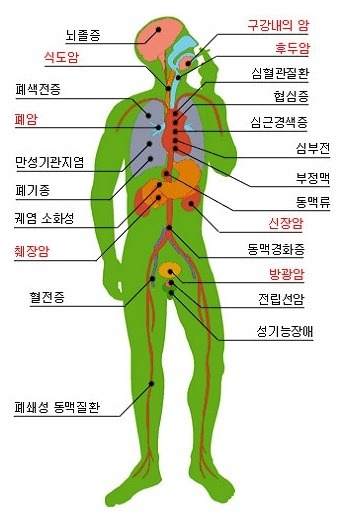 백해무익 엄청나게 몸에 안좋고 손해인데 못 끊는 베우지 말아야 할(혐오주의) | 인스티즈